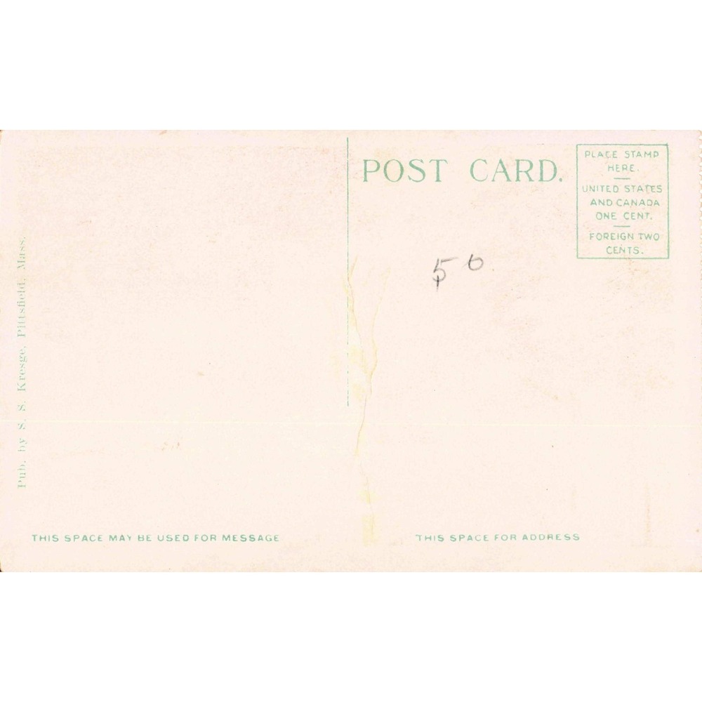 Vintage Postcard Park Grounds of The Maplewood Pittsfield Mass S. S. Kresge VG - Picture 2 of 2
